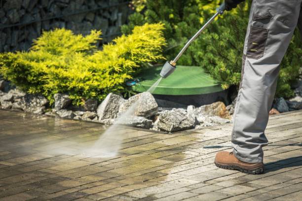 Best Sidewalk and Walkway Cleaning  in Pine Lawn, MO